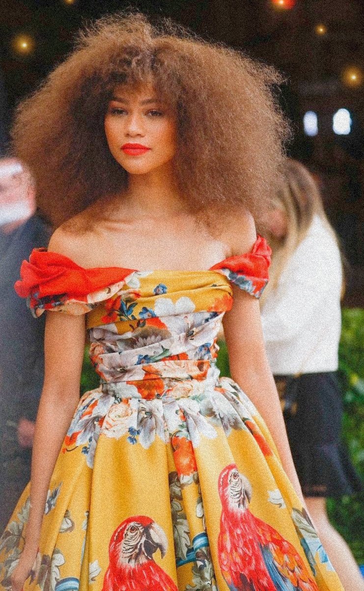 Zendaya's Birthday Celebration | HappyBday.to
