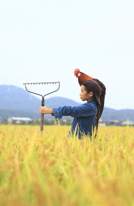 『その者、蒼き衣を纏いて金色の野に降り立つべし!』#風の谷のナウシカ 『その者、蒼き衣を纏いて金色の野に降り立つべし!』#風の谷のナウシカ