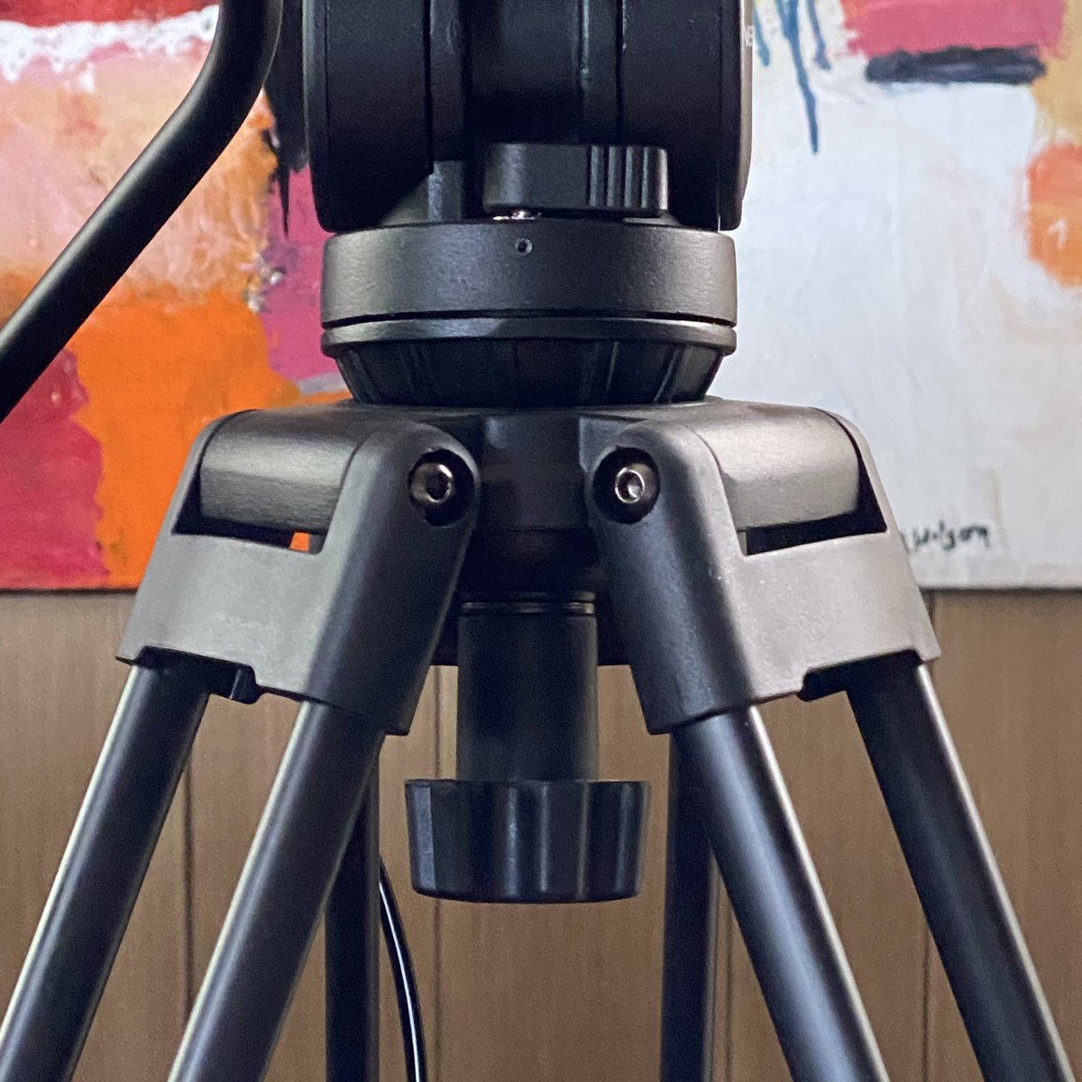 Sometimes I feel like my tripod is watching me. 