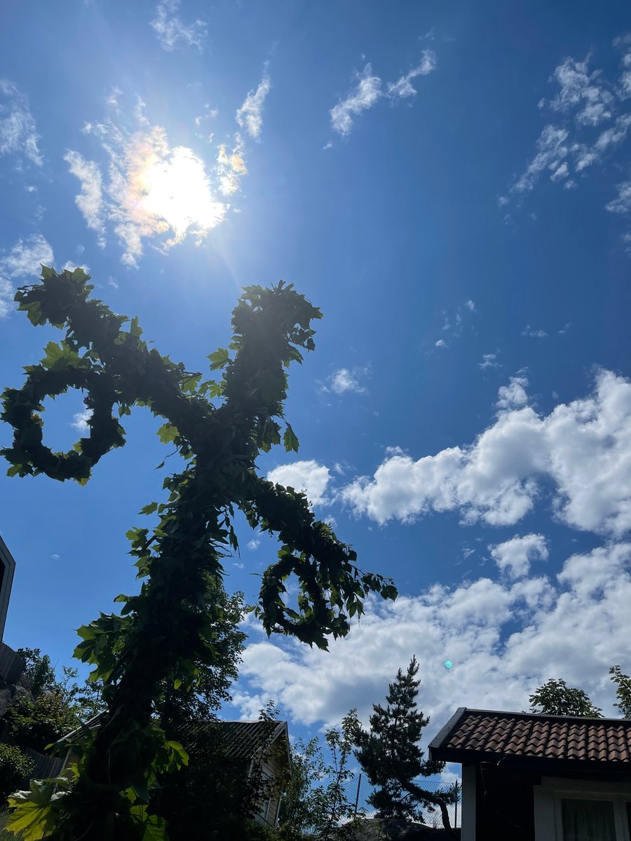 Glad midsommar alla, hejdå regn! 