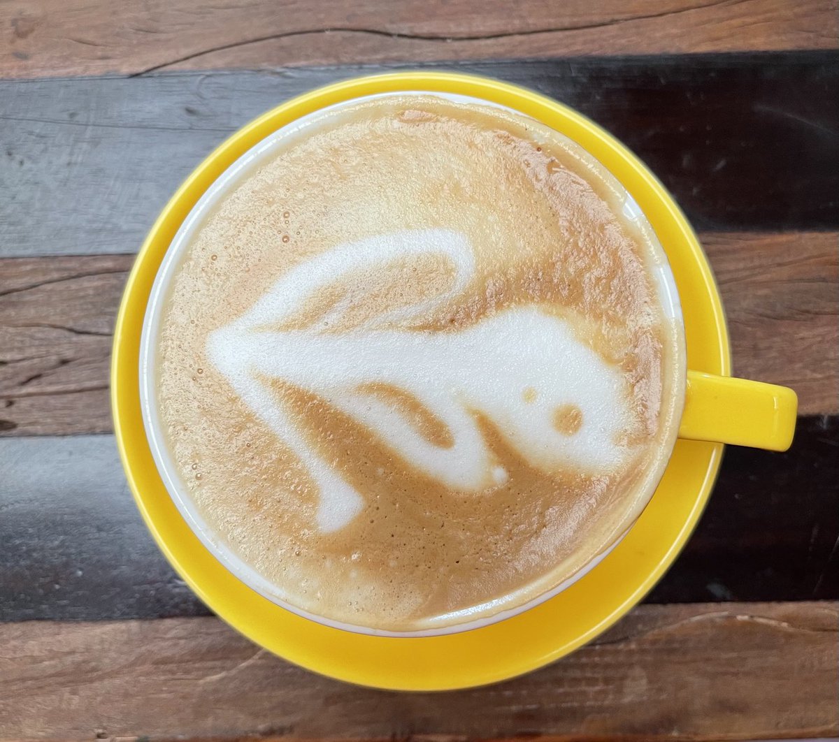 You know when a tadpole turns into a frog?

#LatteArt 