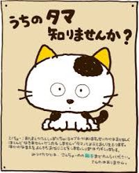 外暑過ぎて半分溶けました(⁎⁍̴̆Ɛ⁍̴̆⁎)生ペプシって物を飲みたいのにどこにも居ません(⁎⁍̴̆Ɛ⁍̴̆⁎)誰かどこ 外暑過ぎて半分溶けました(⁎⁍̴̆Ɛ⁍̴̆⁎)生ペプシって物を飲みたいのにどこにも居ません(⁎⁍̴̆Ɛ⁍̴̆⁎)誰かどこ