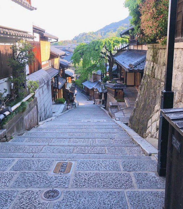 🍅 朝のひとり散歩 🍅 早朝 誰もいない 京の道 夏の香りと セミの声 🌿 🍃か 🍅 朝のひとり散歩 🍅 早朝 誰もいない 京の道 夏の香りと セミの声 🌿 🍃か