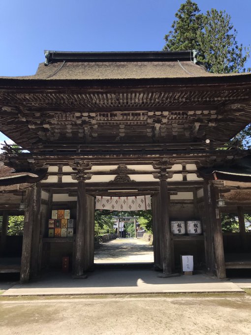 小栗旬くん 信長協奏曲 明智光秀にて 最後の出陣したとこね😭 油日神社桔梗紋 旗たくさん あがって😭 