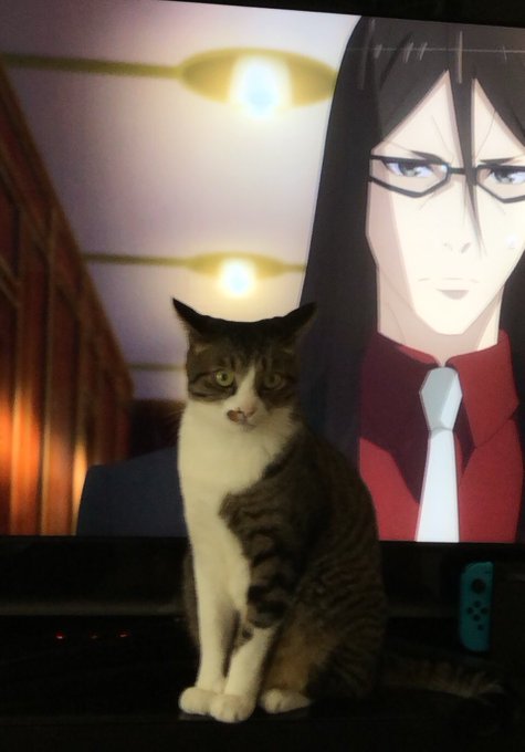 実家で #事件簿アニメ 観てる母上から「これからあんた出てくるのにネコが邪魔してくる」って画像が送られてきた 実家で #事件簿アニメ 観てる母上から「これからあんた出てくるのにネコが邪魔してくる」って画像が送られてきた