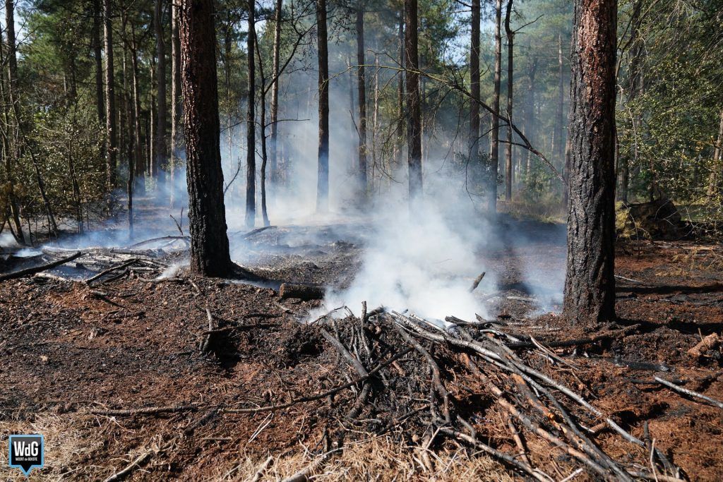 Bosbrand in #Maarheeze (foto's/video) ?. #Cranendonck.