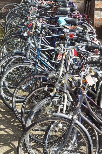 Vrijdag is er weer een fietskijkdag bij Hacron Groen. Je kunt van 14.30 tot 16.30 uur terecht bij de Papenweg 3 in Lievelde.