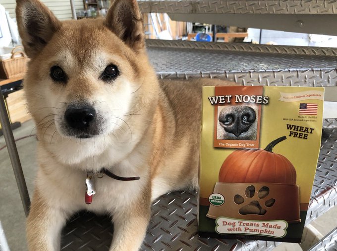 いとしのムーコのファンの方がシアトルから来てくださいましてムーコとポコにお土産で犬用おやつをくださいました!パッケージの いとしのムーコのファンの方がシアトルから来てくださいましてムーコとポコにお土産で犬用おやつをくださいました!パッケージの