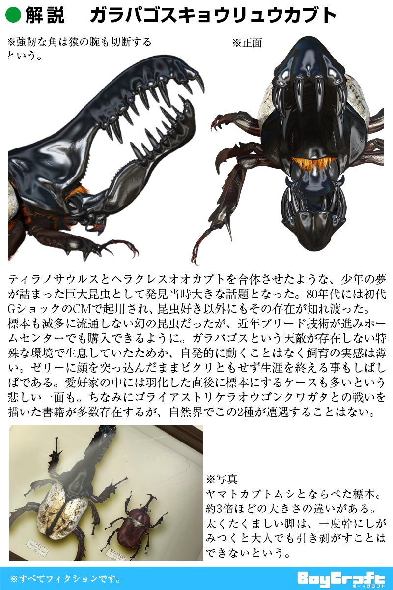 ムシキング テッカテカ キュウリョウカブト とんでもないカブトムシ フォトショップ定期に関連した画像-03