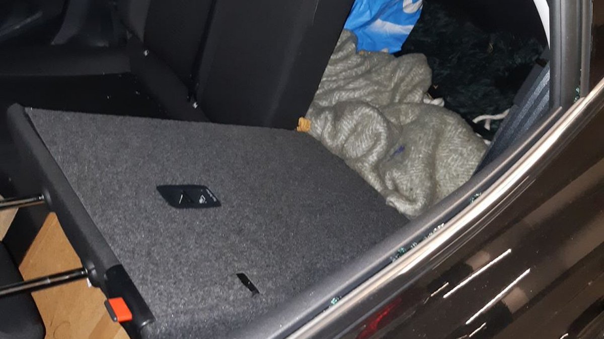 Politie bevrijdt hond uit afgesloten kofferbak in Haarlemse garage ..