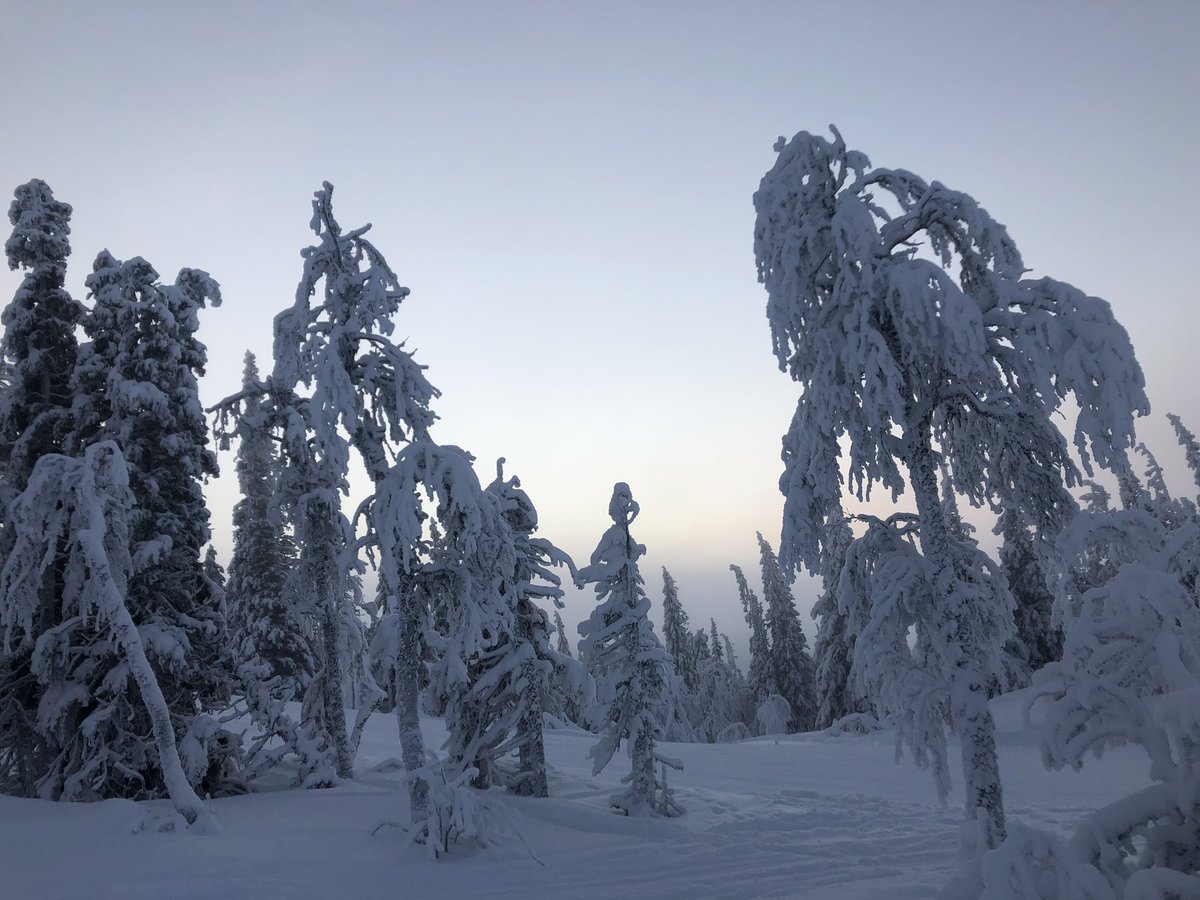 God jul önskas från Jämtlandsfjällen! 