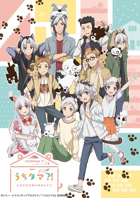 🌙深夜1時10分~放送📺『うちタマ?! ~うちのタマ知りませんか?~<ノイタミナ> #01』🐱🐶みんなのご近所ねこ・タマ 🌙深夜1時10分~放送📺『うちタマ?! ~うちのタマ知りませんか?~<ノイタミナ> #01』🐱🐶みんなのご近所ねこ・タマ