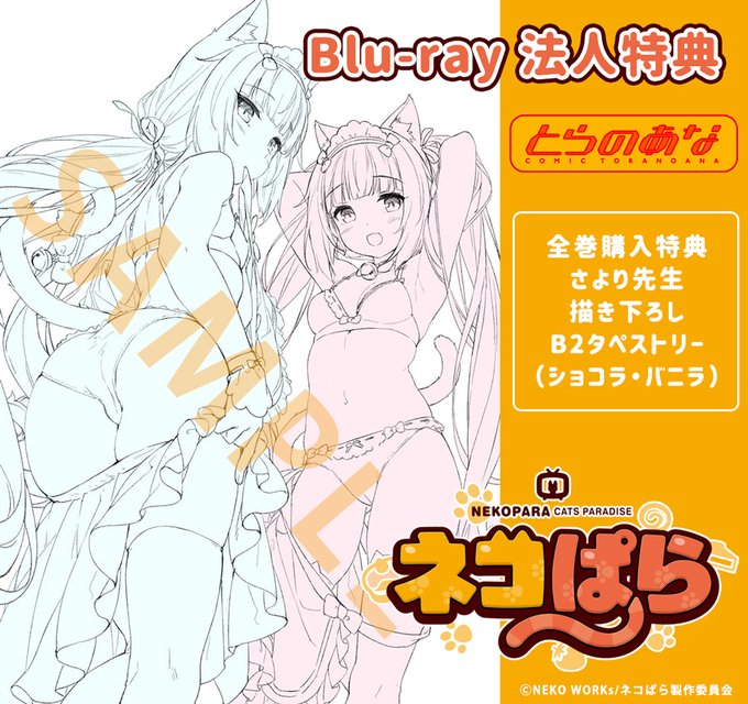 /📢(ΦωΦ){ #ネコぱら✨Blu-ray💿法人特典情報✍️\Blu-rayの購入者対象の法人特典のイラストを公開🌟※ /📢(ΦωΦ){ #ネコぱら✨Blu-ray💿法人特典情報✍️\Blu-rayの購入者対象の法人特典のイラストを公開🌟※