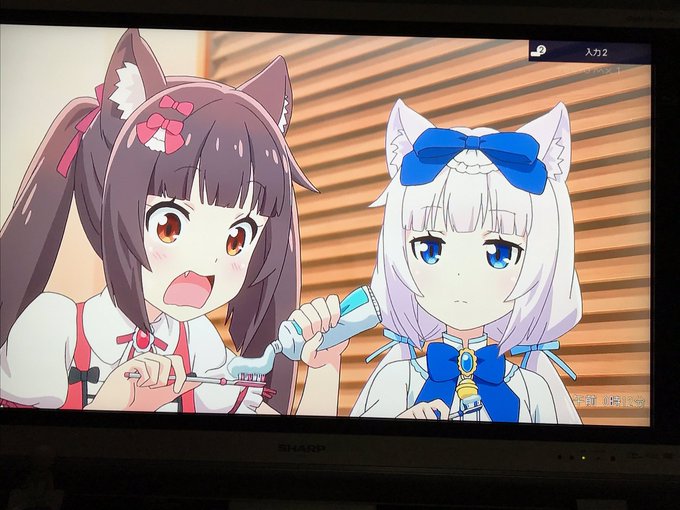 歯磨剤つけすぎイイイイイイイイイイイイ(;´Д`)ハァハァ #ネコぱら 歯磨剤つけすぎイイイイイイイイイイイイ(;´Д`)ハァハァ #ネコぱら