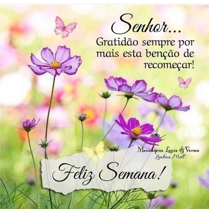 Lord, always #grateful for this #blessing to start over. Happy week! #BomDia #BuenosDias #GoodMorning #HappyDay #HappyMonday #Happyweek #GoodVibes #MondayMotivation #MondayMorning #Monday 😉 🌷 /Hlv604e1kt | Flipboard Lord, always #grateful for this #blessing to start over. Happy week! #BomDia #BuenosDias #GoodMorning #HappyDay #HappyMonday #Happyweek #GoodVibes #MondayMotivation #MondayMorning #Monday 😉 🌷 /Hlv604e1kt | Flipboard