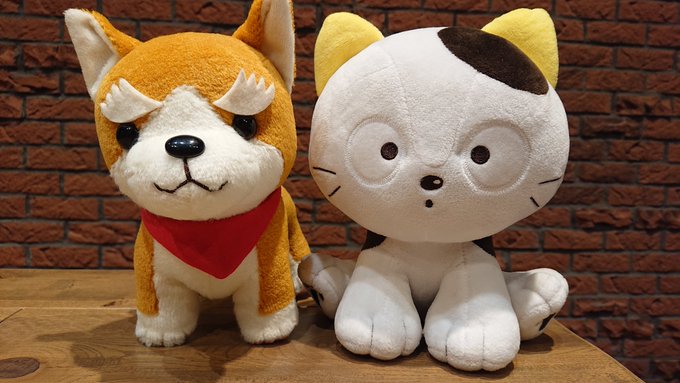 織田シナモン信長() コラボインタビュー🐱🐶 先日、#織田シナモン信長 と #うちタマ のコラボインタビューを実施しま 織田シナモン信長() コラボインタビュー🐱🐶 先日、#織田シナモン信長 と #うちタマ のコラボインタビューを実施しま