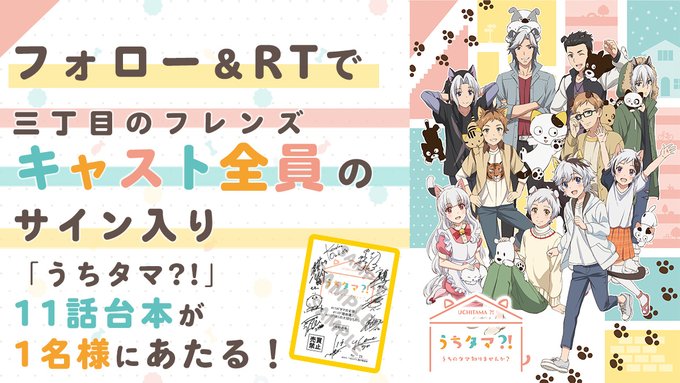 サイン入り台本プレゼントキャンペーン🐱🐶公式Twitterアカウントをフォロー&RTしてくださった方の中からEDテーマ担 サイン入り台本プレゼントキャンペーン🐱🐶公式Twitterアカウントをフォロー&RTしてくださった方の中からEDテーマ担