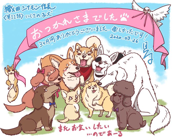 12話!!!!!!!!!!!!ありがとうございました🐕💕#織田シナモン信長 12話!!!!!!!!!!!!ありがとうございました🐕💕#織田シナモン信長