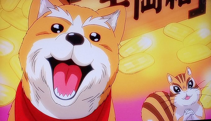 中二病ではないか!!🐕️💢#織田シナモン信長 中二病ではないか!!🐕️💢#織田シナモン信長