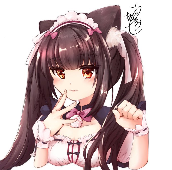 ネコぱら ショコラちゃん(=^・・^=) ネコぱら ショコラちゃん(=^・・^=)