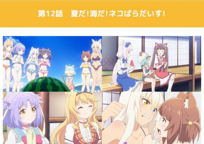 アニメ『ネコぱら』ついにやってきた水着回! 名残惜しさ満載の第12話 アニメ #アニメ大好き #アニメ愛 アニメ『ネコぱら』ついにやってきた水着回! 名残惜しさ満載の第12話 アニメ #アニメ大好き #アニメ愛