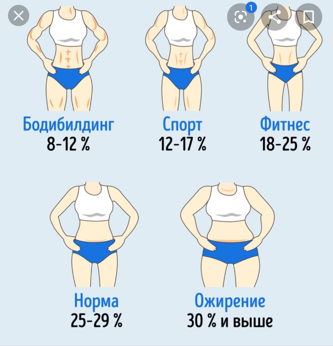 Диета Для Снижения Процента Жира В Организме