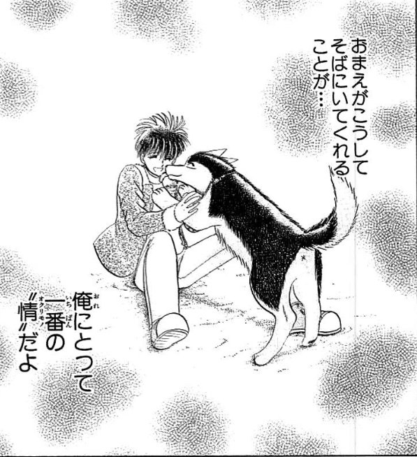 #緊急事態宣言解除自粛中にペットを飼う世帯が増えたらしい…解除されても『情』を持って接して欲しいです┏○ペコッ#ワイル #緊急事態宣言解除自粛中にペットを飼う世帯が増えたらしい…解除されても『情』を持って接して欲しいです┏○ペコッ#ワイル