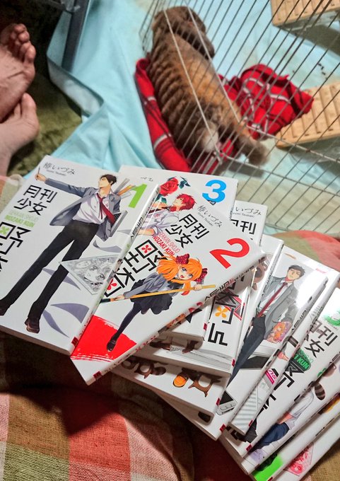 やったぁ(ノ≧∀≦)ノ月刊少女野崎くんが届いた(ノ≧∀≦)ノ以外に色々忙しくてwwwなんか、あまり本読めてないww やったぁ(ノ≧∀≦)ノ月刊少女野崎くんが届いた(ノ≧∀≦)ノ以外に色々忙しくてwwwなんか、あまり本読めてないww