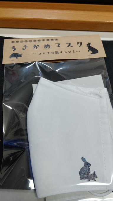 豊小うさかめマスク届いた! 豊小うさかめマスク届いた!