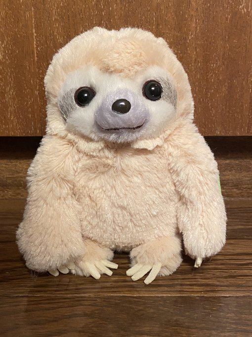 我が家のナマケモノのなーちゃんに「ナマケモノになりたい」と念じていたら、この2カ月の在宅ワークで完全にそうなってしまった 我が家のナマケモノのなーちゃんに「ナマケモノになりたい」と念じていたら、この2カ月の在宅ワークで完全にそうなってしまった