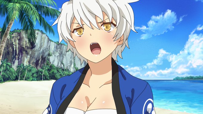 閃乱カグラ 閃乱カグラ
