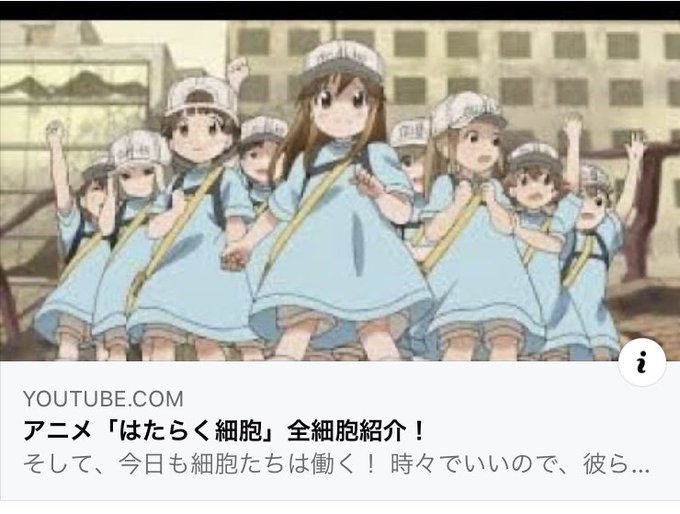 体の免疫の仕組みなどが分かりやすく表現されているアニメ【はたらく細胞】がオススメです。全細胞紹介→ 細菌・ウイルス・症 体の免疫の仕組みなどが分かりやすく表現されているアニメ【はたらく細胞】がオススメです。全細胞紹介→ 細菌・ウイルス・症