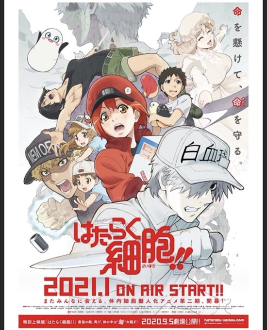 一気見確定アニメを発見致しました。#はたらく細胞#看護師#筋トレ#筋トレ女子個人的に白血球が好きです。ドSな感じなのに細 一気見確定アニメを発見致しました。#はたらく細胞#看護師#筋トレ#筋トレ女子個人的に白血球が好きです。ドSな感じなのに細