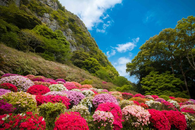 県の魅力度ランキングってあてにならない佐賀県は行けばわかる!!素敵な街にゃ!!! 県の魅力度ランキングってあてにならない佐賀県は行けばわかる!!素敵な街にゃ!!!