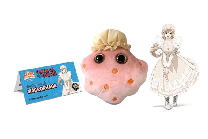 細菌やウイルスなどのキャラクターぬいぐるみを制作・販売している英国の会社「ジャイアント・マイクローブス」と「はたらく細胞 細菌やウイルスなどのキャラクターぬいぐるみを制作・販売している英国の会社「ジャイアント・マイクローブス」と「はたらく細胞