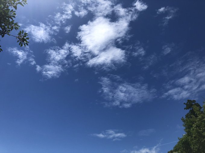 おはです(-´∀`-)雨予報なのにめっちゃ青空?(。• . •。) ??そしてめっちゃ風つよっま、いっか洗濯物をそしても おはです(-´∀`-)雨予報なのにめっちゃ青空?(。• . •。) ??そしてめっちゃ風つよっま、いっか洗濯物をそしても