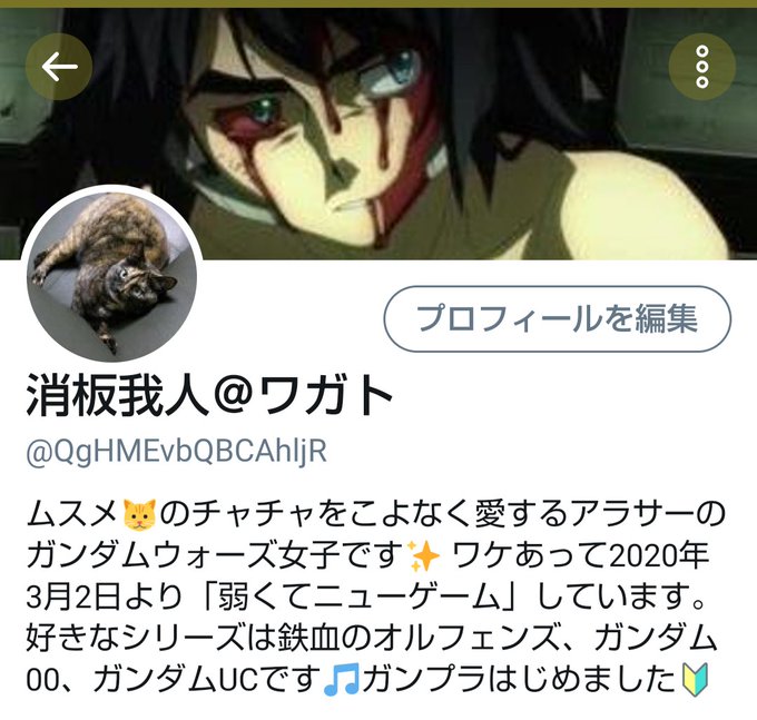 プロフィールを変更💦好きなシリーズは鉄血のオルフェンズ、ガンダム00、ガンダムUCですʅ(◞‿◟)ʃ#ガンダムウォーズ プロフィールを変更💦好きなシリーズは鉄血のオルフェンズ、ガンダム00、ガンダムUCですʅ(◞‿◟)ʃ#ガンダムウォーズ