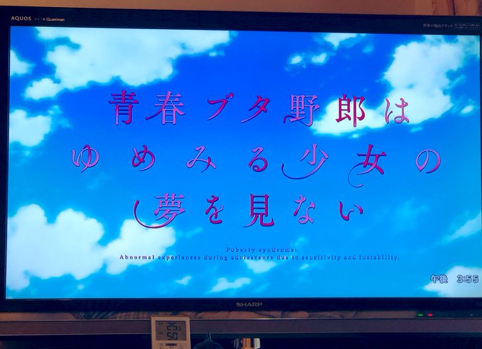 WOWOWで青ブタの映画やってたまた泣いちまうよ;; WOWOWで青ブタの映画やってたまた泣いちまうよ;;
