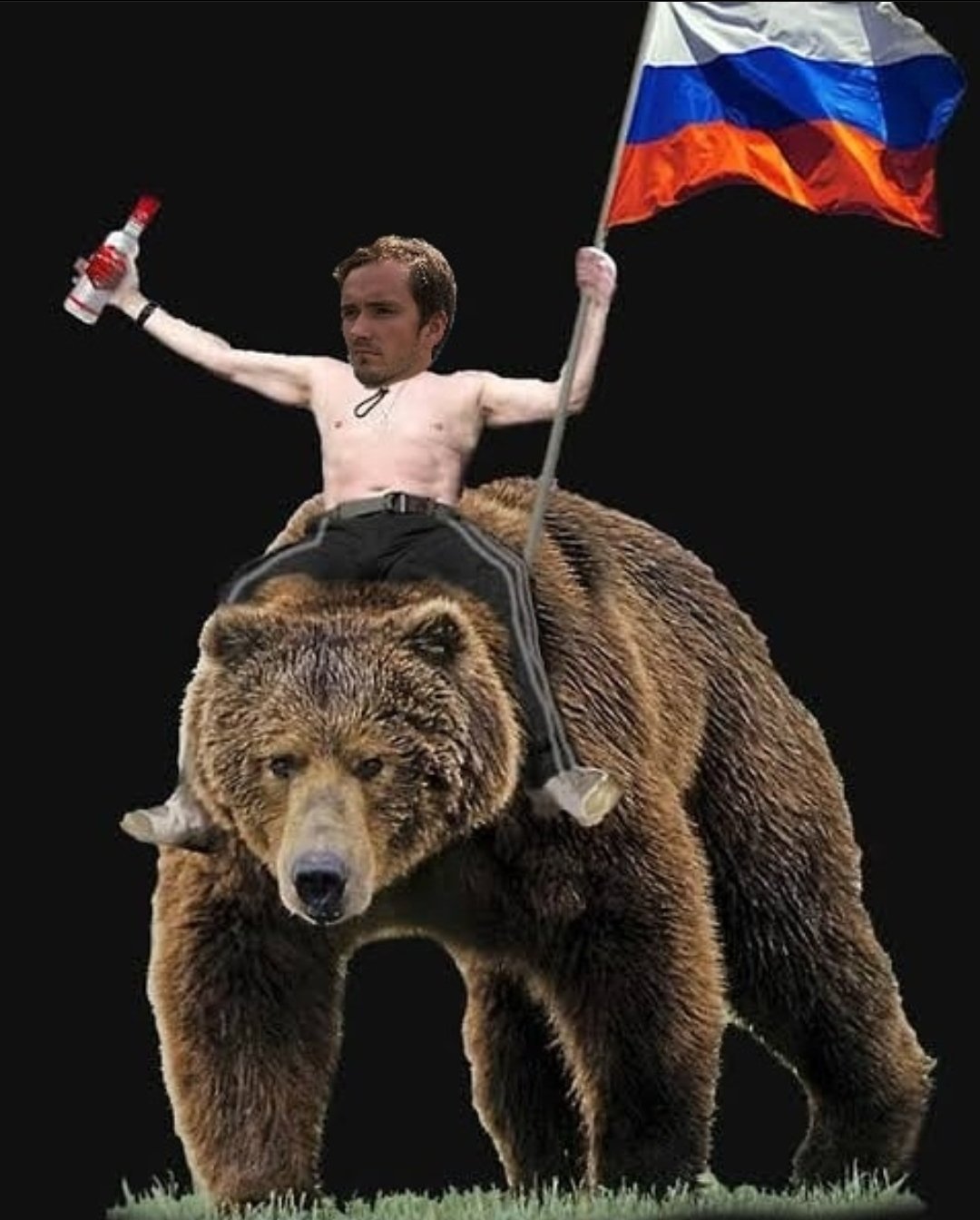 Русский медведь картинки скачать