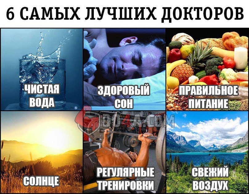 Юмор Про Правильное Питание