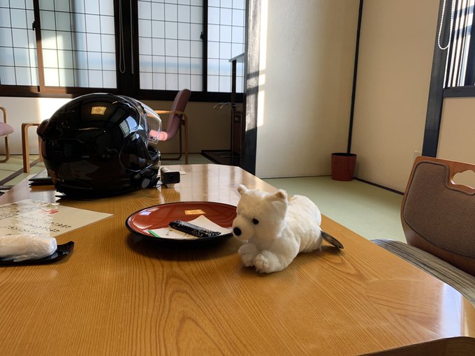 旅するキツネと30過ぎのおっさんちなみに小さい頃の僕の渾名は「ぎんぎつね」だつ。 旅するキツネと30過ぎのおっさんちなみに小さい頃の僕の渾名は「ぎんぎつね」だつ。