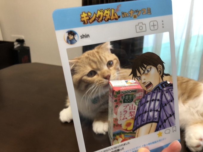 猫とすももと李信将軍と#ナツコミ2020フォトコンテスト#キングダム 猫とすももと李信将軍と#ナツコミ2020フォトコンテスト#キングダム