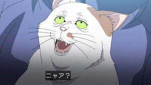 初めてアニメ版ダイナミックコード見たけど色々ぶっ飛びすぎててジワジワきた。バナナマン日村と温泉タオル雪。 初めてアニメ版ダイナミックコード見たけど色々ぶっ飛びすぎててジワジワきた。バナナマン日村と温泉タオル雪。