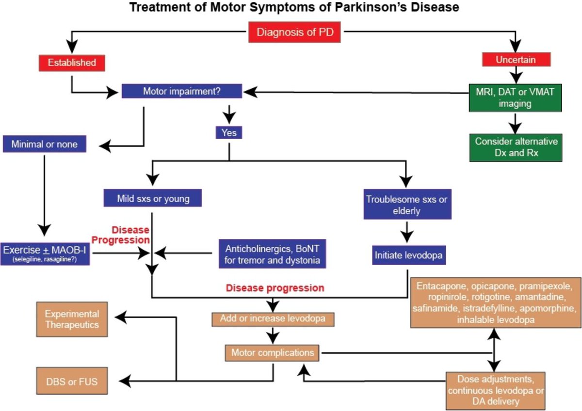 Болезнь Паркинсона Правильное Питание