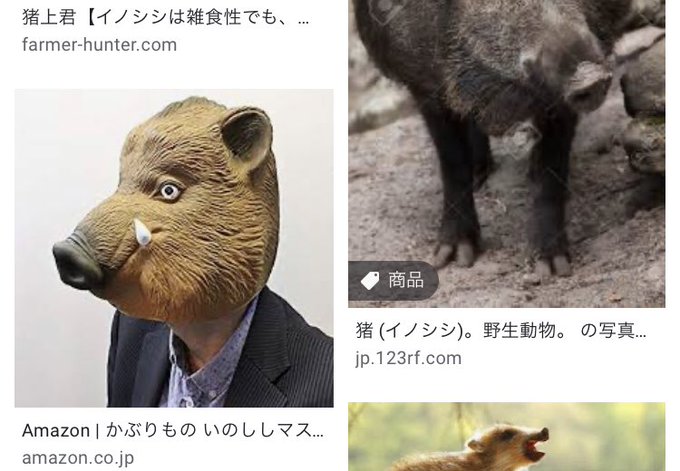 順番に・長宗我部クラスタから見たわし・現代文化に適応したわし・傍から見たら有能なわし・アルスラーン戦記とかに出てきそうな 順番に・長宗我部クラスタから見たわし・現代文化に適応したわし・傍から見たら有能なわし・アルスラーン戦記とかに出てきそうな