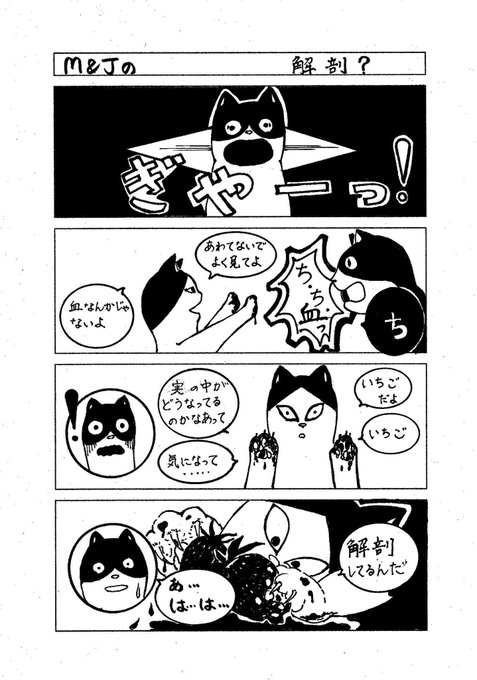 #4コマ漫画 #ゑ仮記 #手描き #モノクローム #オリジナルキャラクター#ねこ #いちご #解剖Title: 解剖? #4コマ漫画 #ゑ仮記 #手描き #モノクローム #オリジナルキャラクター#ねこ #いちご #解剖Title: 解剖?