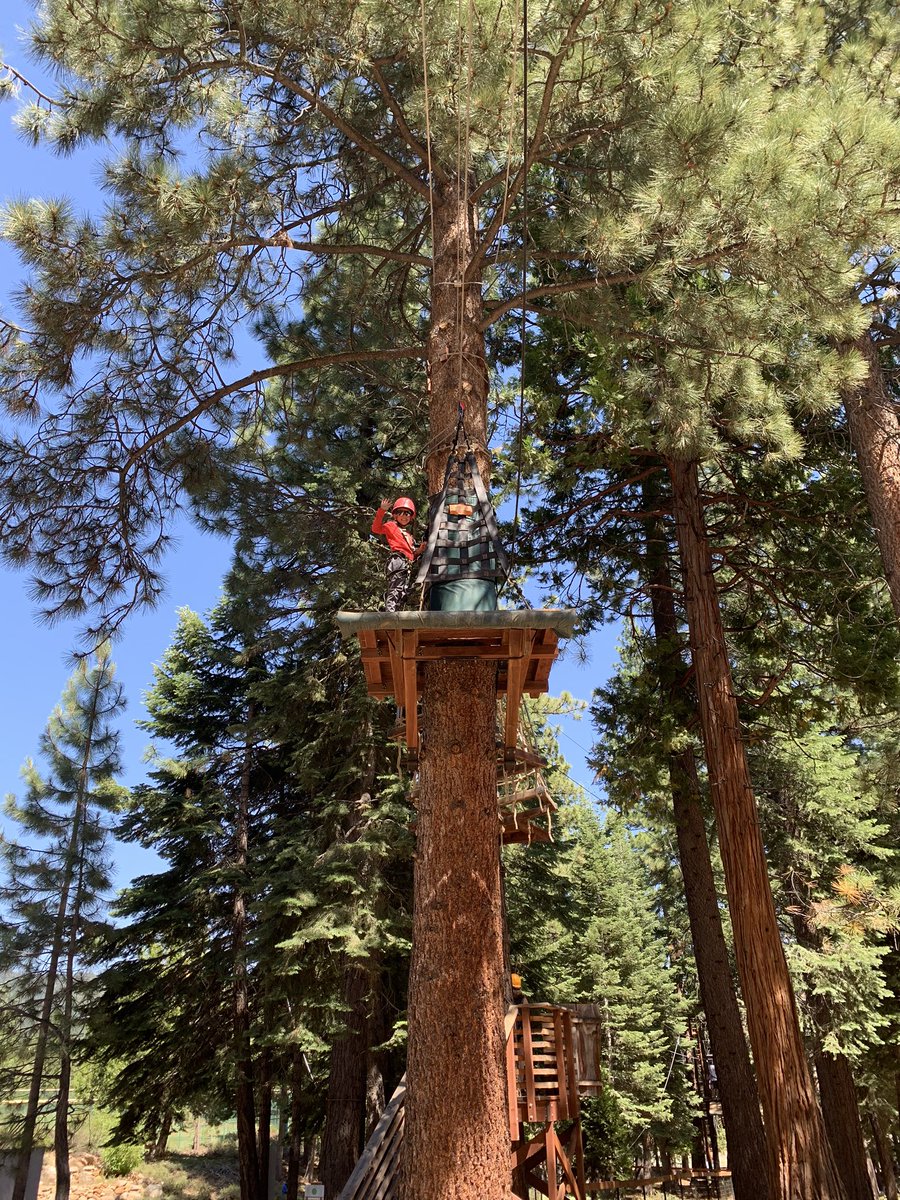 Fantastic day for #ziplining #treetopadventure 
