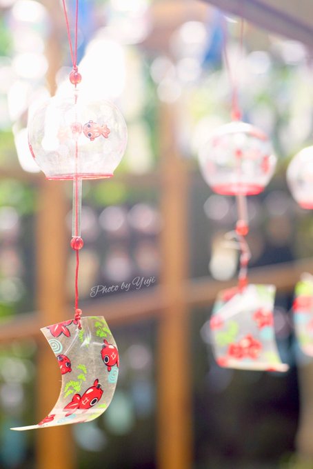 早く、夏空が見れます様に😉✨#夏は幻 #幻になりません様に #ilce7m2 #mamiyacsekor80mm #コロ 早く、夏空が見れます様に😉✨#夏は幻 #幻になりません様に #ilce7m2 #mamiyacsekor80mm #コロ