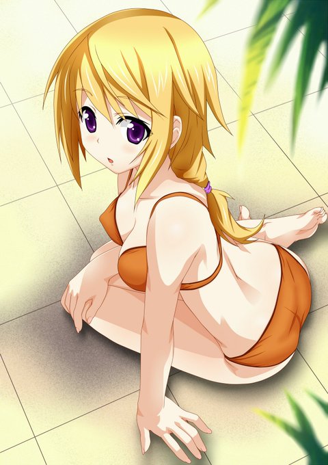 インフィニット・ストラトス(Infinite Stratos) シャルロット・デュノア(Charlotte Dunois インフィニット・ストラトス(Infinite Stratos) シャルロット・デュノア(Charlotte Dunois