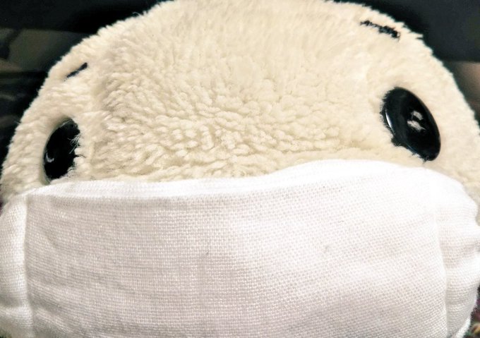 コロナ怖いからマスクするキュー!みんな熱中症にも気を付けようキュー!#ゴマちゃん コロナ怖いからマスクするキュー!みんな熱中症にも気を付けようキュー!#ゴマちゃん